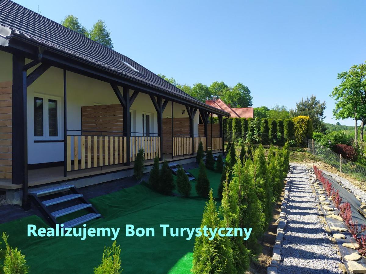 Villa Asturia Rymanów-Zdrój エクステリア 写真