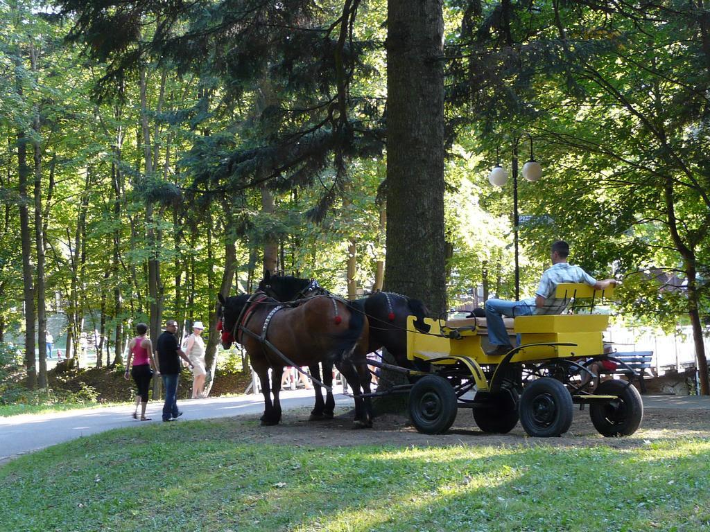 Villa Asturia Rymanów-Zdrój エクステリア 写真
