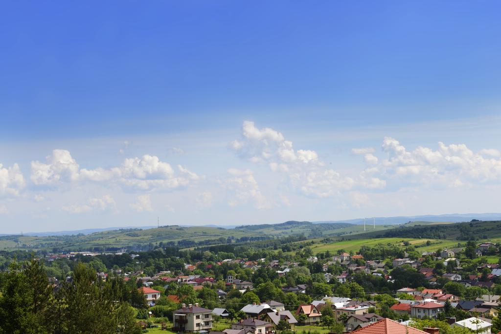 Villa Asturia Rymanów-Zdrój エクステリア 写真