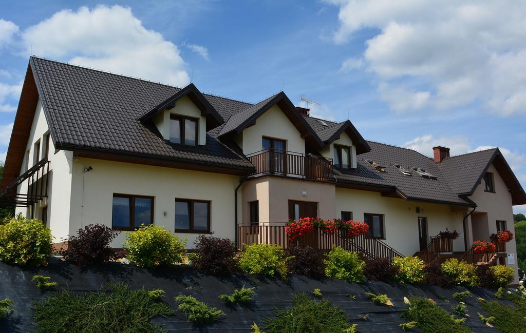 Villa Asturia Rymanów-Zdrój エクステリア 写真